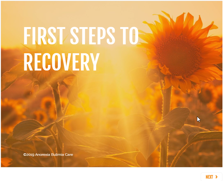 Online Recovery Course